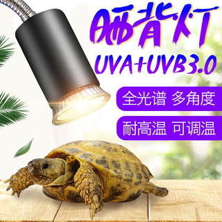 新二代烏龜曬背燈 全光譜太陽燈 爬蟲加熱燈 uva e27燈泡 烏龜加熱 保暖夾燈 陸龜燈 爬蟲加熱 爬蟲保溫燈