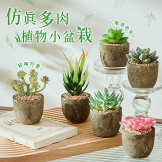 仿真植物 模擬盆栽 模擬多肉 多肉植物 多肉盆栽 小盆栽 綠化盆栽 擬真盆栽 模擬值栽 擬真多肉 擬真盆栽【Q056】