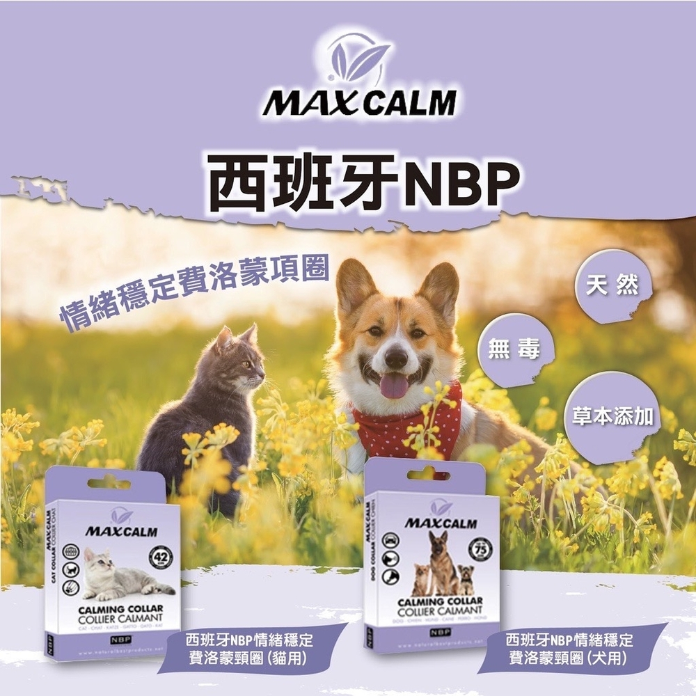 &lt;奶油貓咪🥞&gt;西班牙NBP 情緒穩定費洛蒙頸圈(貓用42cm/犬用75cm) 費洛蒙項圈 寵物安撫 貓費洛蒙 狗費洛蒙