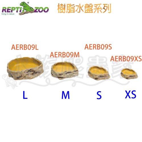 『水族爬蟲家』 REPTIZOO 樹脂水盤 XS S M L 食盆 水盆 水盤 餵食盤 守宮 蜥蜴 陸龜 AERB09