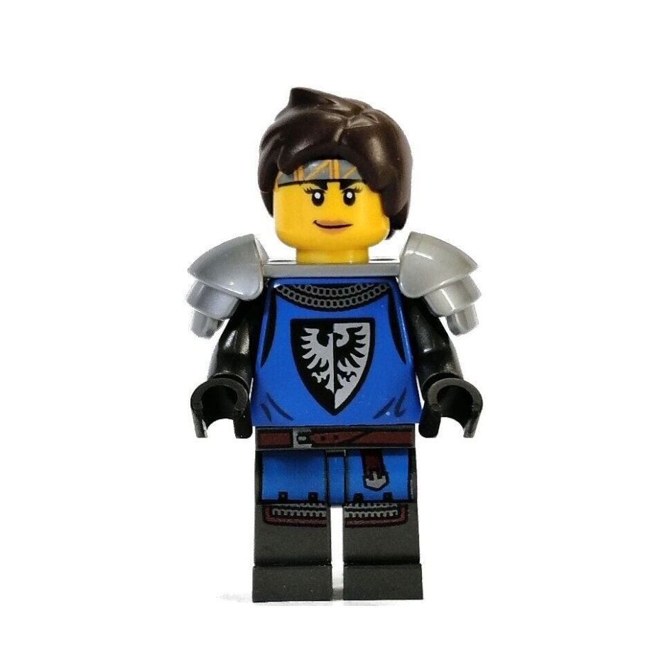 [qkqk] 全新現貨 LEGO 21325 黑鷹女士兵 樂高城堡系列
