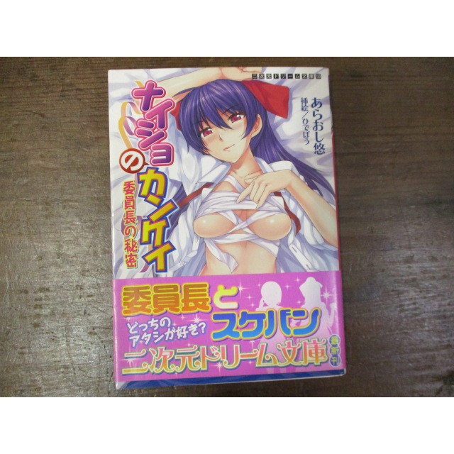 【三尺琴二手書】ナイショのカンケイ 委員長の秘密  二次元ドリーム文庫--圓桌下箱