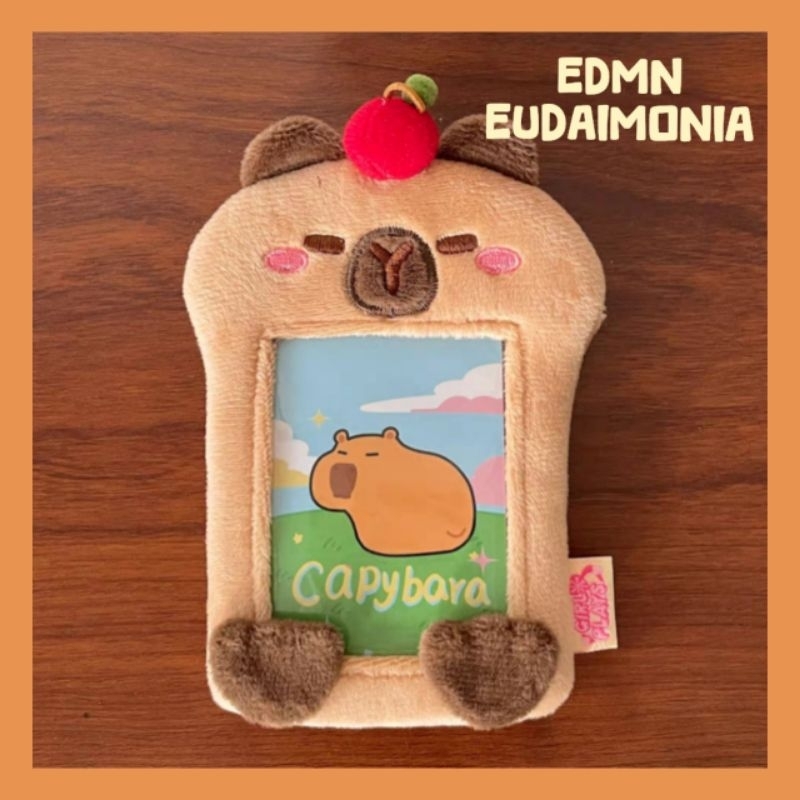 【EDMN】卡套 現貨 水豚君 卡皮巴拉 capybara 韓國 偶像 小卡 毛絨卡套 動物卡套 悠遊卡 門禁卡