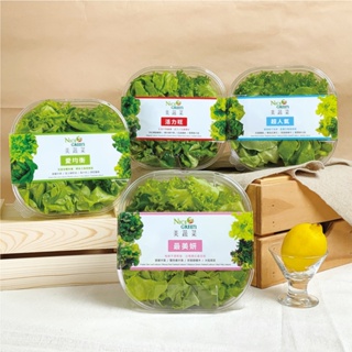 NICE GREEn 美蔬菜盒4入含運組 ( 送4包沙拉醬 生菜 溫沙拉 萵苣 蔬果汁 水耕蔬菜)