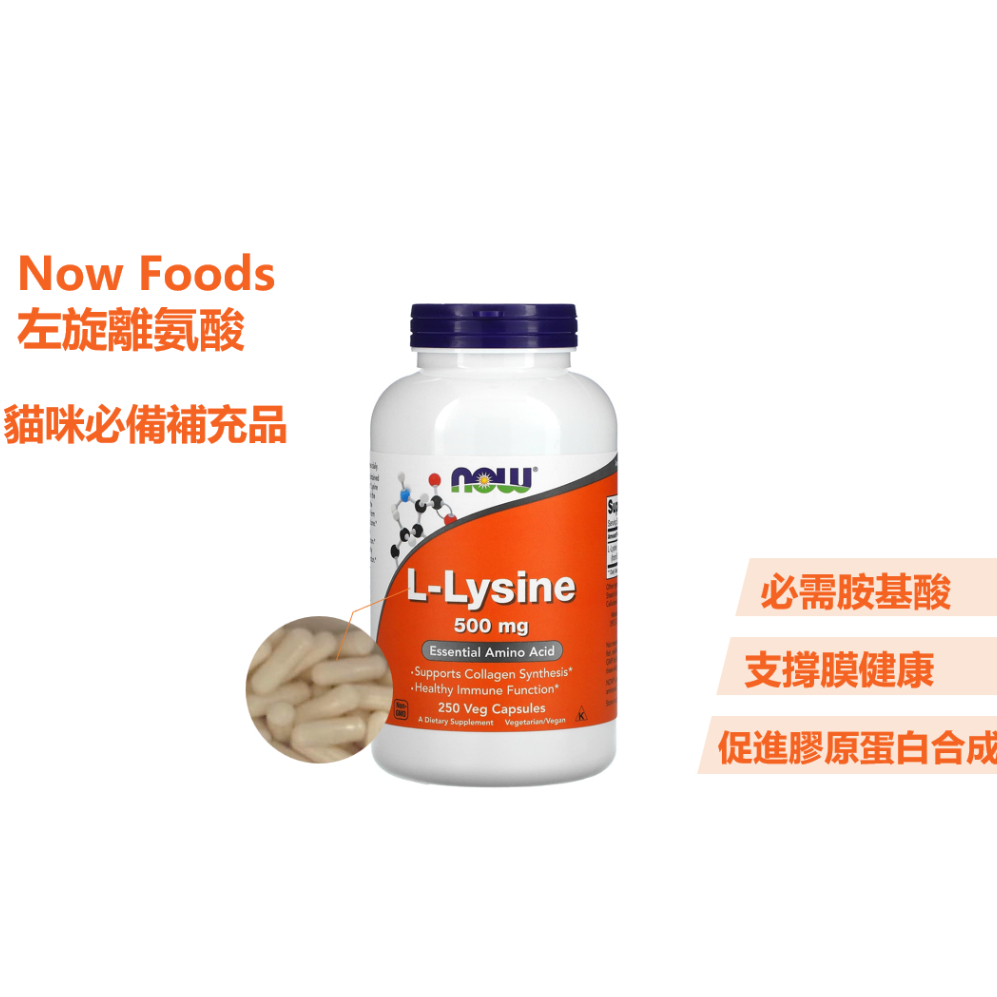 🇺🇸美國原裝進口 Now Foods L-離氨酸 L-lysine 500mg 250粒 最新效期