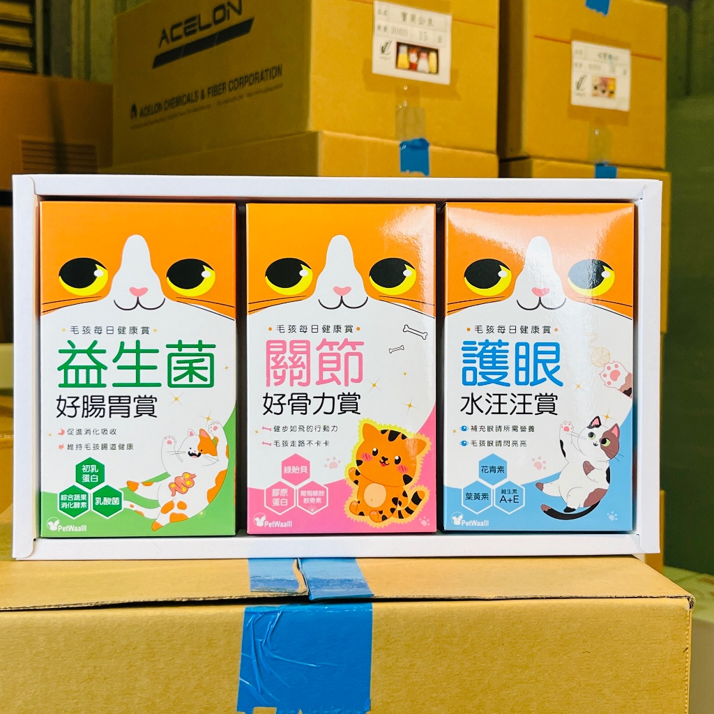 【宣羿紙藝】金紙/紙紮-貓保健 寵物紙紮