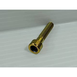 SYB 鈦螺絲 SYB 鍛造鈦螺絲 上管梅花螺絲 尺寸:30mm 實測重量:4.6g 金色 1支入