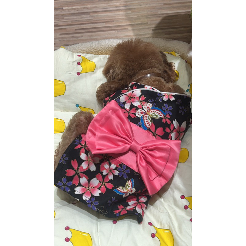 毛孩柑仔店 和服 浴衣 日式系列 造型衣服 變裝衣服 狗狗衣服 貓咪衣服 寵物衣服