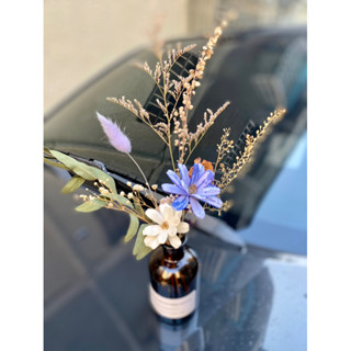 乾燥擴香索拉花束💐贈玻璃瓶花器/永生花束/乾燥花束 / 情人告白 /聖誕節 /男友女友生日 /畢業花束