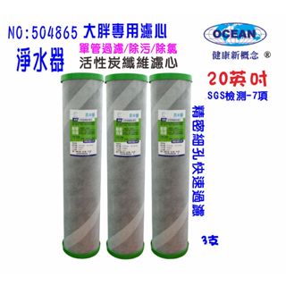 全戶式地下水水塔過濾器除汙除氯濾心20英吋大胖2合一pp+碳纖維活性碳濾心貨號504865