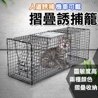 【臺灣現貨】折疊式誘捕籠 誘捕籠貓咪 高靈敏 誘捕籠 機車可載 誘貓籠 抓狗籠 捕貓籠 捕狗籠 TNR誘捕 籠子