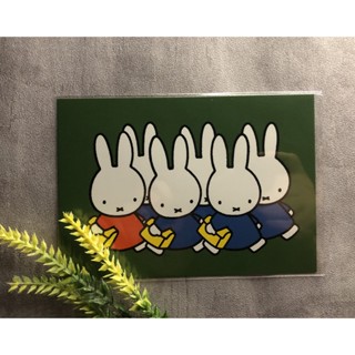 (現貨)荷蘭製_米菲繪本插畫明信片_ 米菲和她的朋友們去上學_萬用卡_明信片_ Miffy 米飛兔 繪本週邊 歐洲明信片