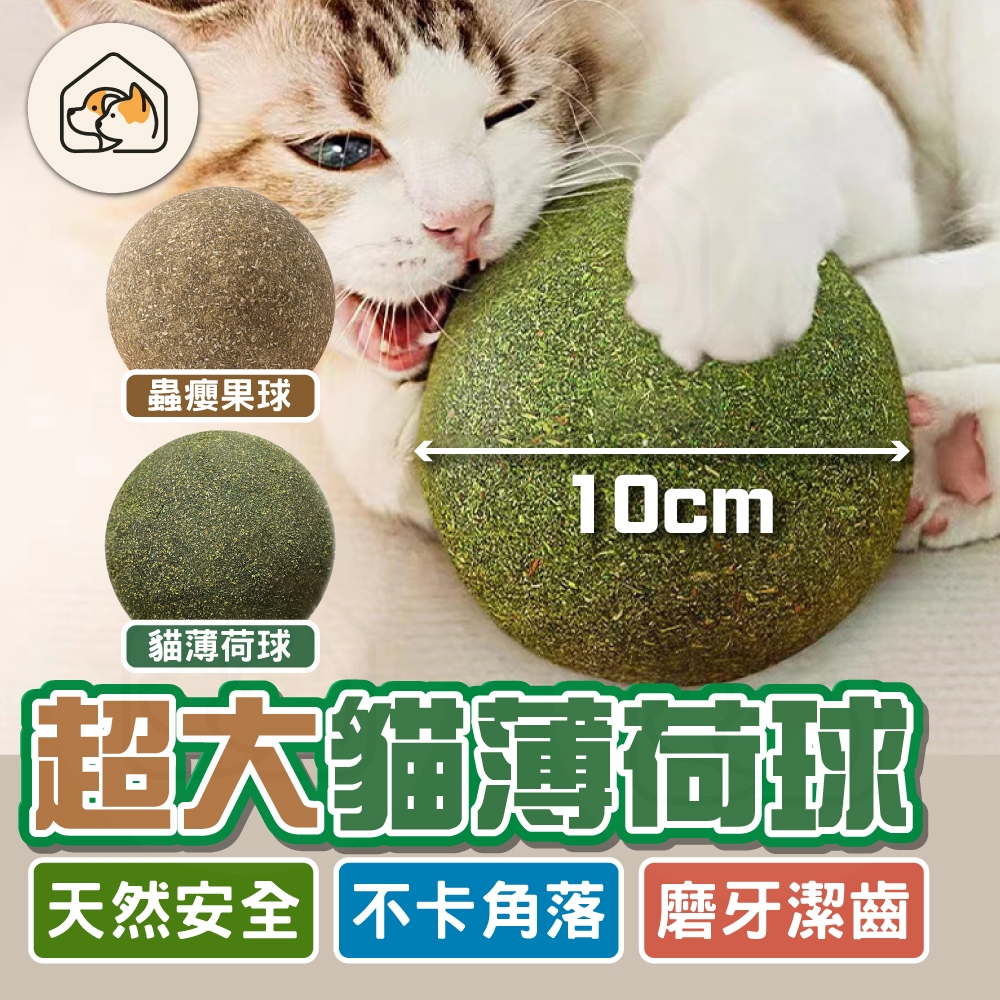 【巨無霸👍】貓薄荷球 貓草球 蟲癭果球 旋轉貓薄荷球 貓咪玩具 貓草球 貓薄荷玩具 貓零食 去毛球 寵物零食 貓咪磨牙球