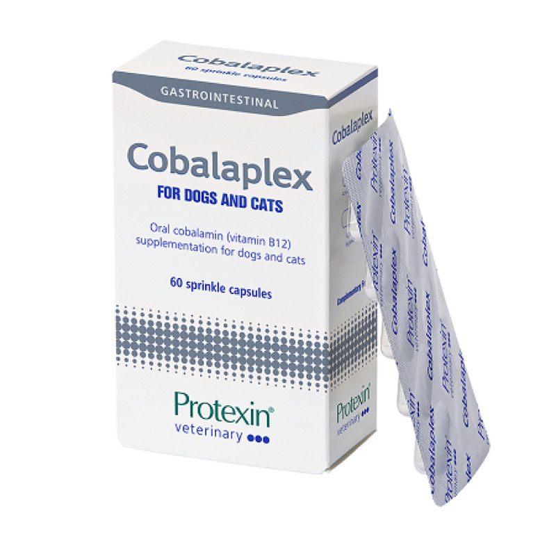 ★現貨 效期新 ★Protexin Cobalaplex 60顆/盒 葉酸 維生素B12 益生菌 貓