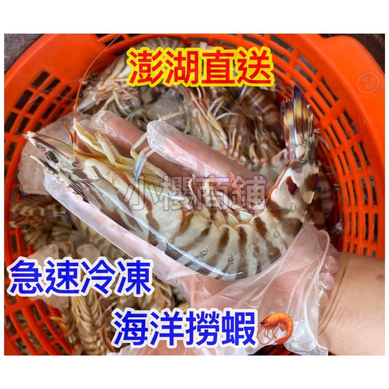 澎湖直送 蝦 明蝦 鐵板燒料理 蝦子 明蝦 大明蝦 海鮮🦞 海鮮 明蝦🍤 龍蝦🦞 螃蟹 澎湖海產 澎湖名產