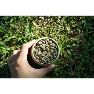 咖啡生豆｜巴布新幾內亞 精選小農｜有機咖啡豆