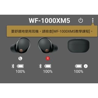 【補配件，現貨服務】索尼原廠 SONY WF-1000XM5 -降噪 真無線藍牙耳機，左右單耳 補充件