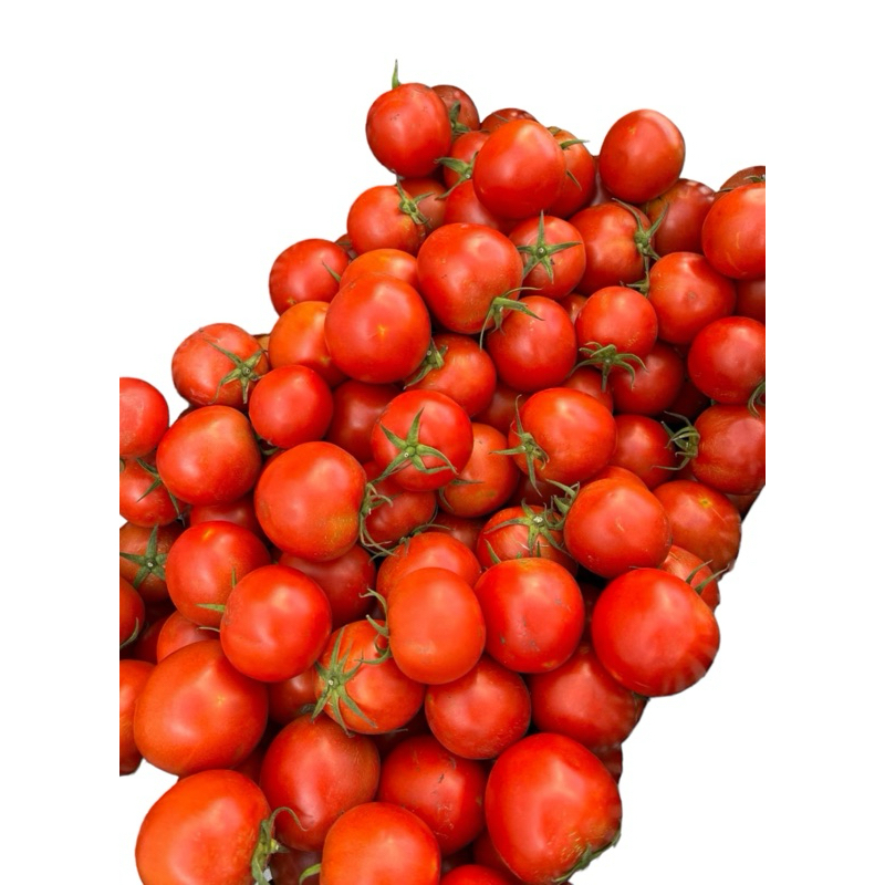 🔥整片番茄園🔥宅配免運費🔥🇹🇼官田曾大姐鄉下牛番茄🍅 也有玉女番茄聖女番茄橙蜜番茄