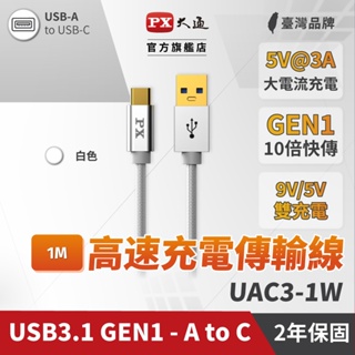 大通 ECA3-100W USB3.1 Gen1 A-to-Type-C 1M 閃充快充1米充電傳輸線白