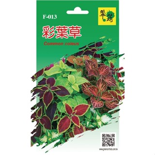 【翠筠官方直營】花卉種子C 彩葉草/日日春/向日葵 種子 種籽 種苗 苗 菜園 菜圃 園藝 花卉 瓜果 香草 葉菜