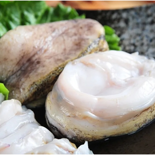 【就是愛海鮮】樂可思極品智利大鮑魚1000g±10%/4-5顆 滷製/火鍋 高貴不貴營養價值高[量大可配合批發/團購]