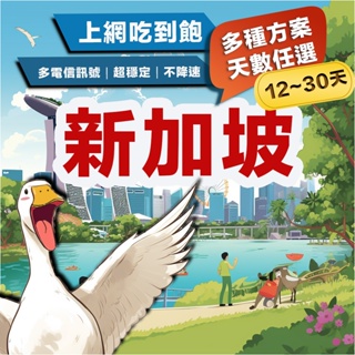 【飛鵝】新加坡網卡 12~30天 新加坡sim卡 無限上網 吃到飽 SIM 上網 網卡 網路 電話卡 新加坡上網卡