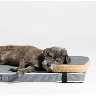 [無價寶] LifeApp 寵物緩壓舒眠枕 舒壓枕 適合老齡犬 【🐶犬用】狗狗枕頭 可水洗