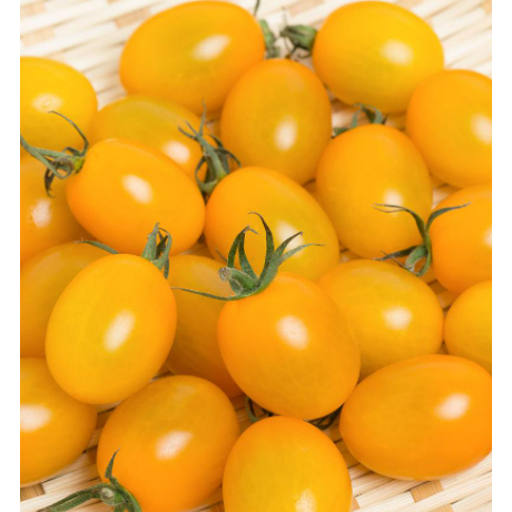 F番茄種子 黃櫻桃番茄 小番茄 黃聖女果種子 紅聖女果 春夏秋冬種植 四季可種 大田用種