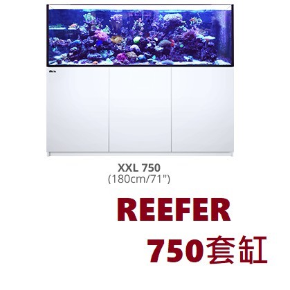 【藍箱水族】紅海Red Sea REEFER 750 珊瑚礁岩水族套缸 魚缸 水族箱  紅海缸 套缸