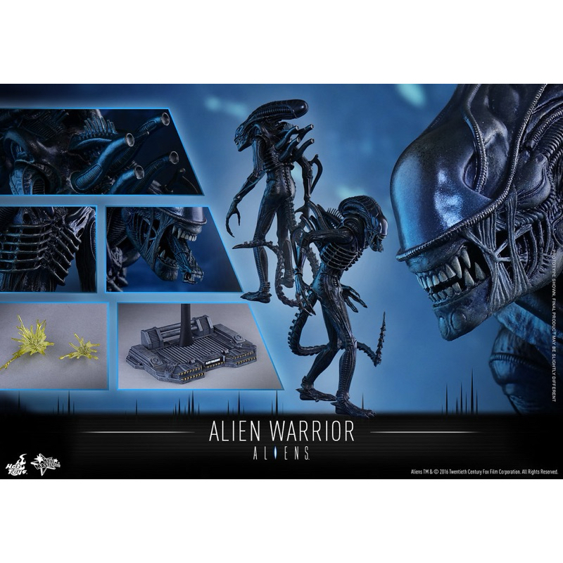 hot toys 異形  mms354 alien warrior