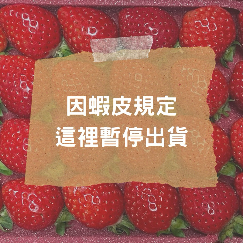 美姬草莓創始人🥇秋蓮草莓🍓無毒栽種🍓冷藏宅配🍓大湖草莓🍓