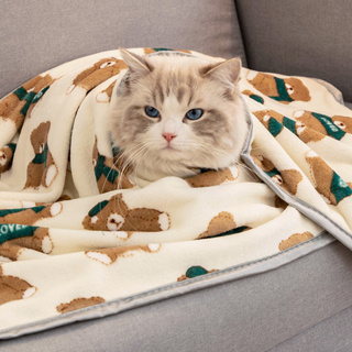 寵物睡墊 寵物墊 寵物毛毯 寵物保暖墊 寵物保暖毯 卡布奇諾熊狗狗睡覺用小被子寵物專用毛毯珊瑚絨小狗的小毯子秋冬