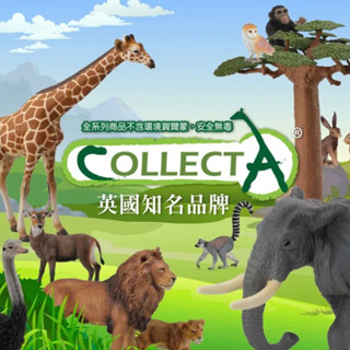 collectA 動物模型 英國正版 單售各系列 全新現貨