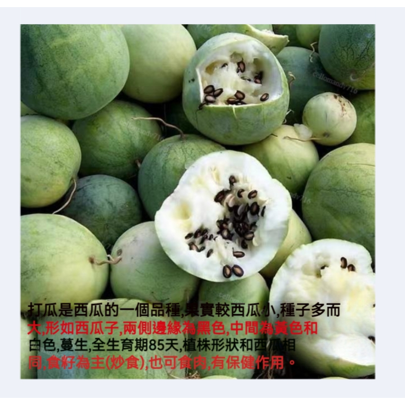 ✨✨打瓜種子産籽西瓜種子高産西瓜子專門産籽的西瓜品種黃瓤白瓤西瓜