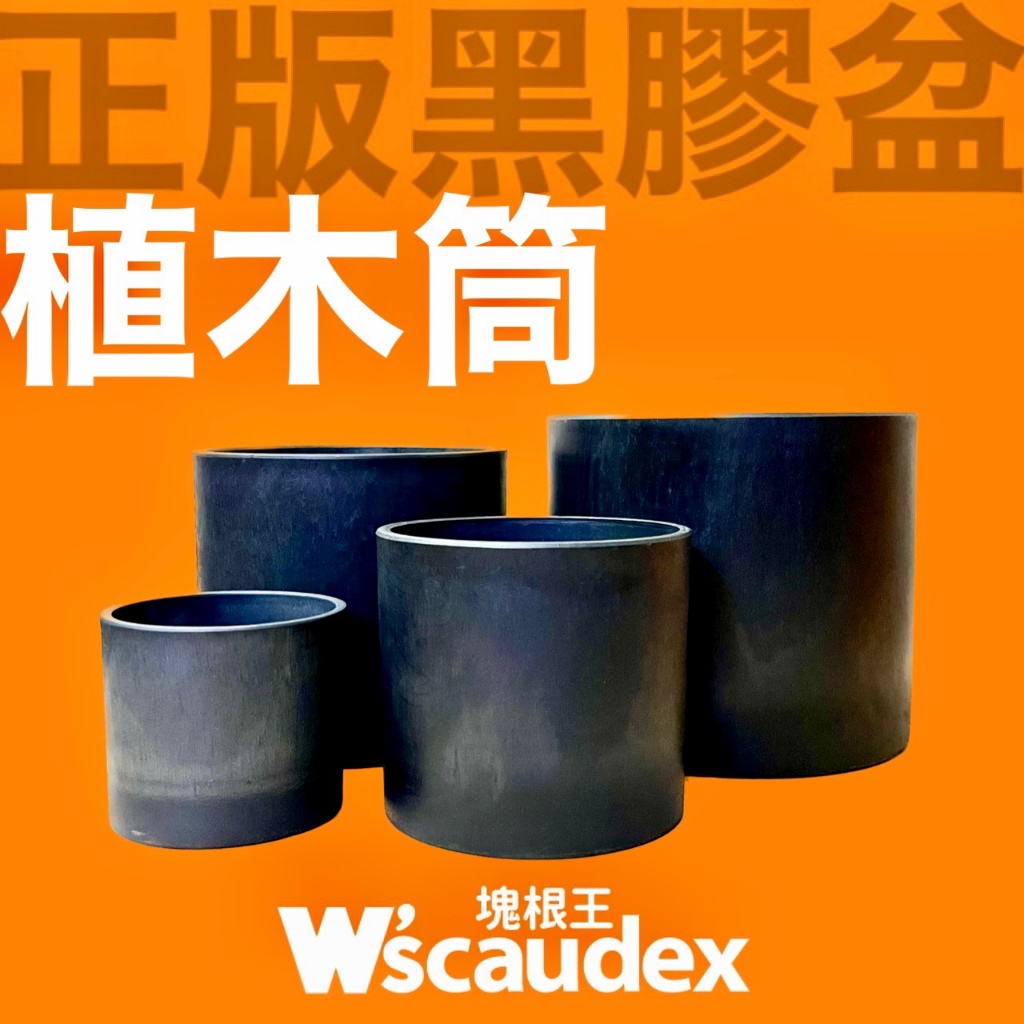 塊根王 正版 黑膠盆 植木筒 日本流行 塊根 多肉植物專用 盆 盆器 花盆