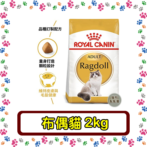 Royal Canin 法國皇家RD32 布偶貓成貓--2公斤