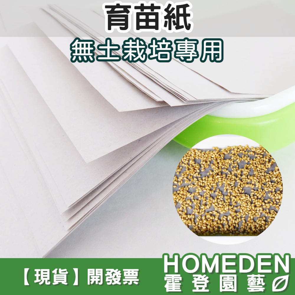 種子紙｜優惠推薦- 蝦皮購物- 2026年1月