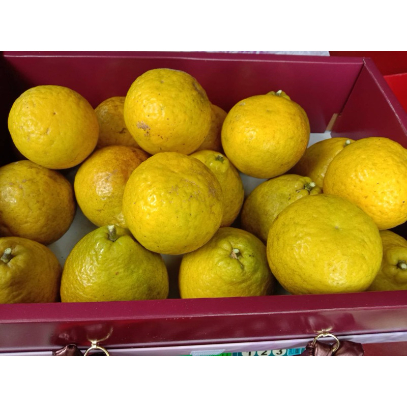甜檸檬 三寶柑 8斤509元 有現貨‼️自然農法（含運費價限下單1，因店到店每單重量限制需要多箱請分開下單）香水檸檬柑