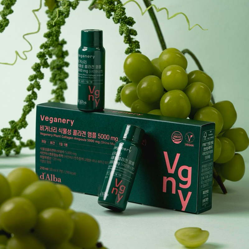 【lenstw】dAlba Veganery Plant Collagen 純素認證 麝香葡萄素食膠原蛋白安瓶 韓國代購