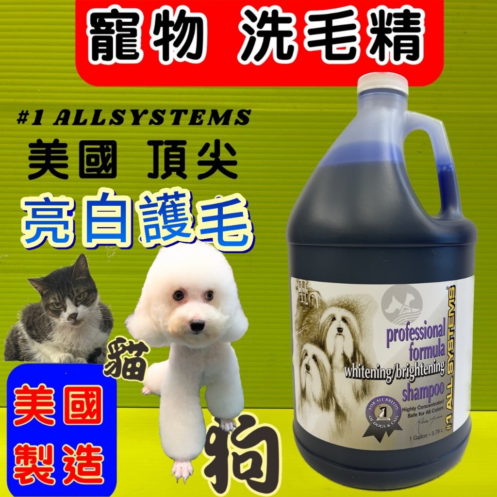 ☀️貓國王波力☀️美國 頂尖1 ALL SYSTEMS(亮白 護毛1加侖) 犬 狗 貓 寵物洗毛精