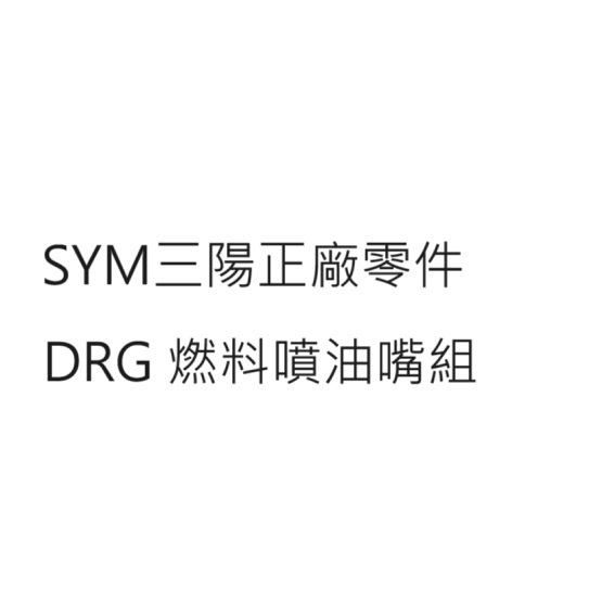 DRG 燃料噴油嘴組 DRG TCS 燃料噴油嘴組 三陽正廠零件 SYM公司貨