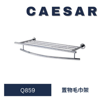 caesar 凱撒衛浴 Q859 置物毛巾桿 毛巾桿 不銹鋼置物毛巾架