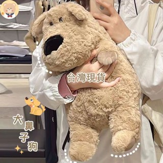 【多多Room】現貨 免運 那隻一抱就想睡覺的胖狗狗 大鼻子狗 大鼻胖狗狗公仔 抱枕 網紅禮物 可愛模擬大鼻狗毛絨玩具