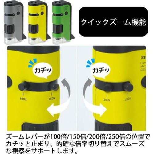 日本藤井 Raymay 攜帶式 手機顯微鏡DX RXT300 100~250倍