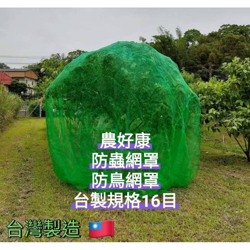 ✯農好康✯ 綠色防蟲網罩 果樹網罩 防猴網罩 防颱網罩 台製規格16目網 車縫製造