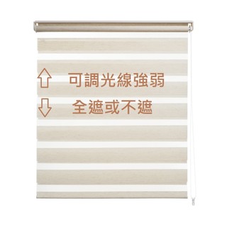 TRENY 窗簾 捲簾 柔砂窗簾 布窗簾 可調光柔紗捲簾 可調光捲簾 窗簾