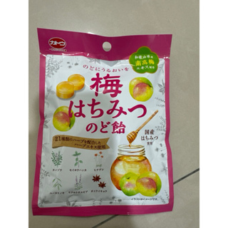 日本製 每顆糖都獨立包裝 加藤制菓 水果喉糖 梅子