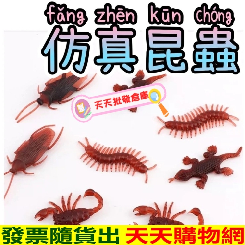 天天批發倉庫~仿真蟑螂 假蟑螂 蟑螂小強 整人 萬聖節裝飾 角色扮演 整人蟑螂 假小強 假蜘蛛 假蜈蚣