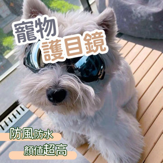 墨鏡 寵物 狗 狗狗護目鏡 寵物護目鏡 寵物眼鏡 狗狗太陽鏡 保護狗狗眼睛 防水防風防曬 防紫外線 狗狗護目鏡