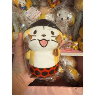 ☆瘋娃舖☆Rascal 小浣熊 拉斯卡爾 世界名作劇場 小浣熊娃娃 小浣熊景品 生日禮物 聖誕禮物 交換禮物 情人節禮物